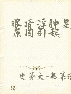 眼睛浮肿是什么原因引起