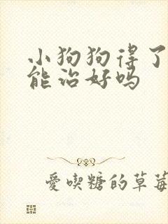 小狗狗得了犬瘟能治好吗