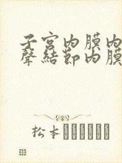 子宫内膜内高回声结节内膜息肉