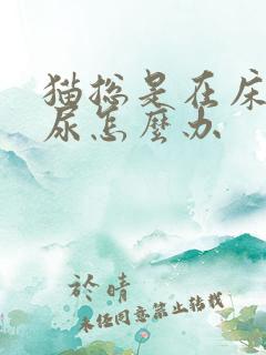 猫总是在床上拉尿怎么办