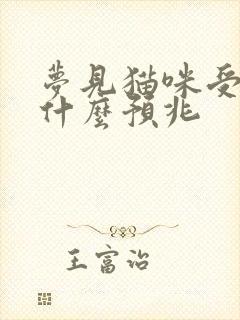 梦见猫咪受伤了什么预兆