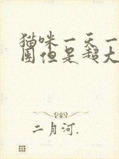 猫咪一天一个尿团但是超大