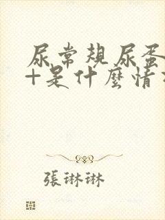 尿常规尿蛋白1+是什么情况