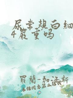 尿常规白细胞74严重吗