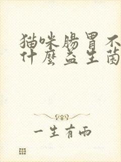 猫咪肠胃不好吃什么益生菌