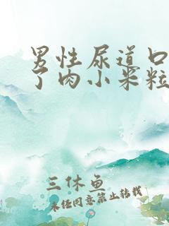 男性尿道口上长了肉小米粒