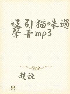 吸引猫咪过来的声音mp3