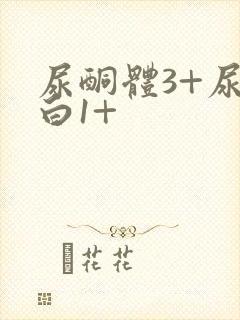 尿酮体3+尿蛋白1+