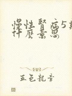 慢性肾病5期是什么意思