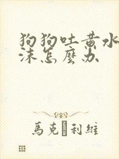 狗狗吐黄水带泡沫怎么办