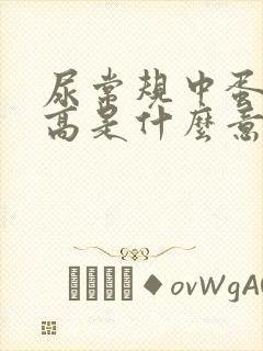 尿常规中蛋白质高是什么意思