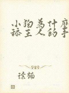 小狗为什么喜欢舔主人的手