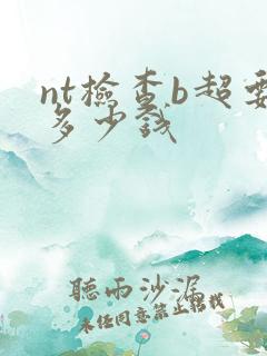 nt检查b超要多少钱