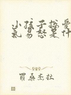 小孩子总爱发脾气易怒是什么原因