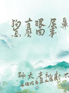 狗有眼屎鼻子干怎么回事