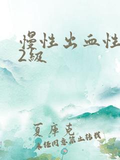 慢性出血性胃炎2级