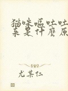 猫咪呕吐吐不出来是什么原因