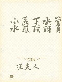 小区下水管道漏水应该谁负责维修