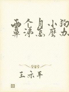 两个月小狗流浓鼻涕怎么办