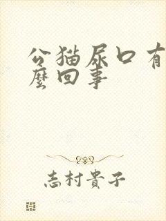 公猫尿口有血怎么回事