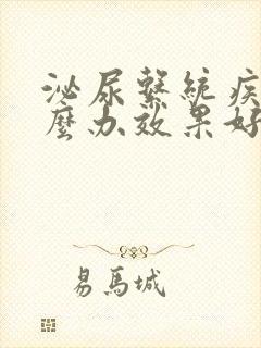 泌尿系统疾病怎么办效果好