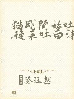 猫刚开始吐黄水,后来吐白沫