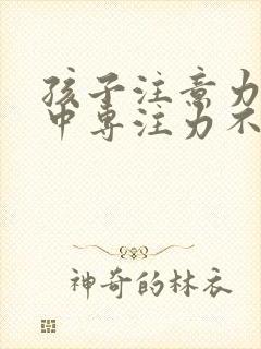 孩子注意力不集中专注力不够怎么训练