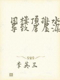 因楼顶排水管堵导致房屋漏水