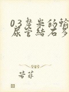 0.3厘米的输尿管结石多久能排出