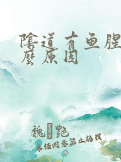 阴道有鱼腥味什么原因