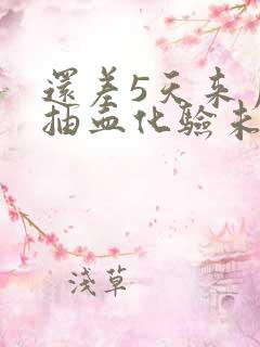 还差5天来月经抽血化验未孕