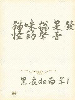 猫咪总是发出奇怪的声音