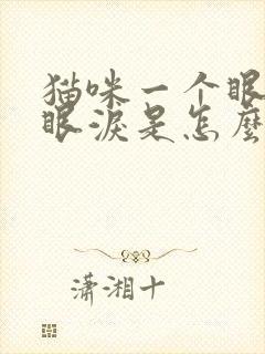 猫咪一个眼睛流眼泪是怎么回事