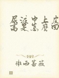 尿液中上皮细胞高是怎么回事