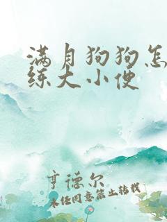 满月狗狗怎么训练大小便