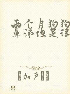 两个月狗狗流清鼻涕但是很有精神