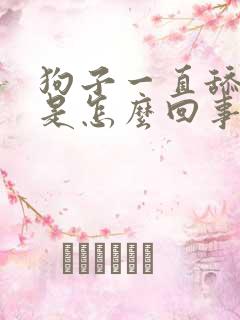 狗子一直舔爪子是怎么回事