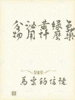 分泌黄绿色分泌物用什么药