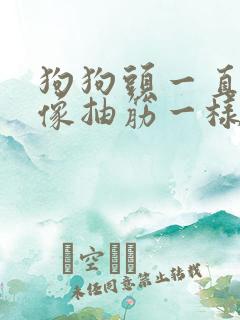 狗狗头一直抖动像抽筋一样