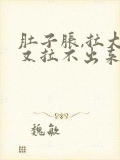 肚子胀,拉大便又拉不出来怎么办