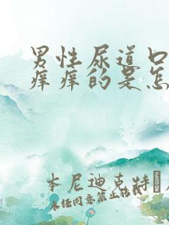 男性尿道口里面痒痒的是怎么回事