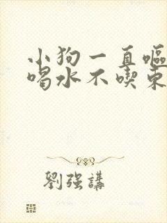 小狗一直呕吐只喝水不吃东西