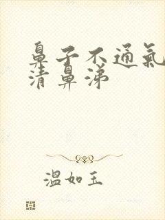 鼻子不通气 流清鼻涕