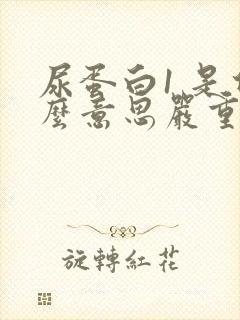 尿蛋白1 是什么意思严重不