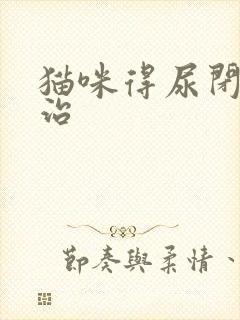 猫咪得尿闭怎么治