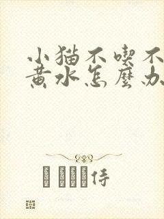 小猫不吃不喝吐黄水怎么办