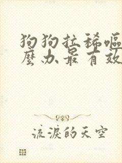 狗狗拉稀呕吐怎么办最有效的方法