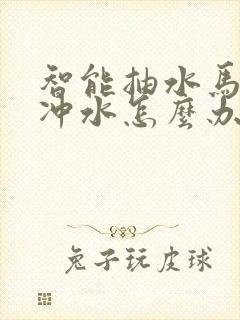 智能抽水马桶不冲水怎么办