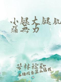 小腿大腿肌肉酸痛无力