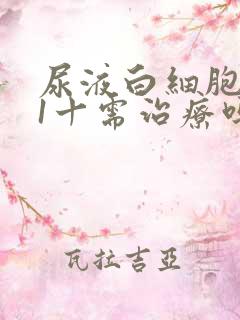 尿液白细胞酯酶1十需治疗吗